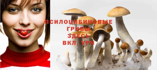 спайс Верея