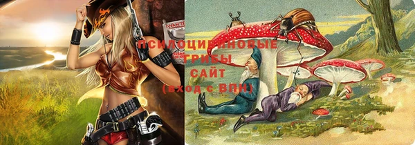 альфа пвп Бородино