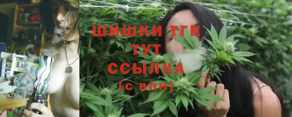 альфа пвп Бородино