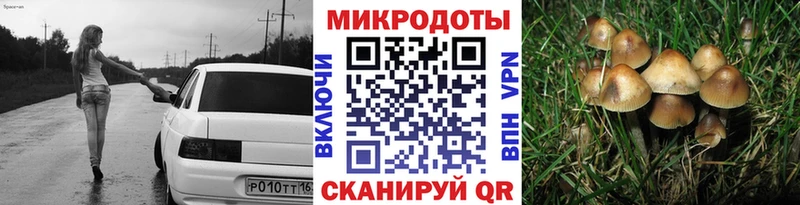 Галлюциногенные грибы Psilocybe kraken онион Карабаш